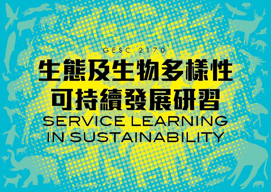 Service Learning in Sustainability