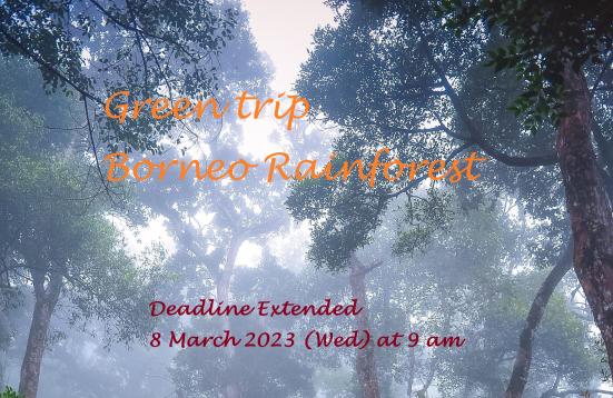 [Deadline Extended] Green trip to Borneo Rainforest